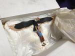 Tintin Milou grand Condor